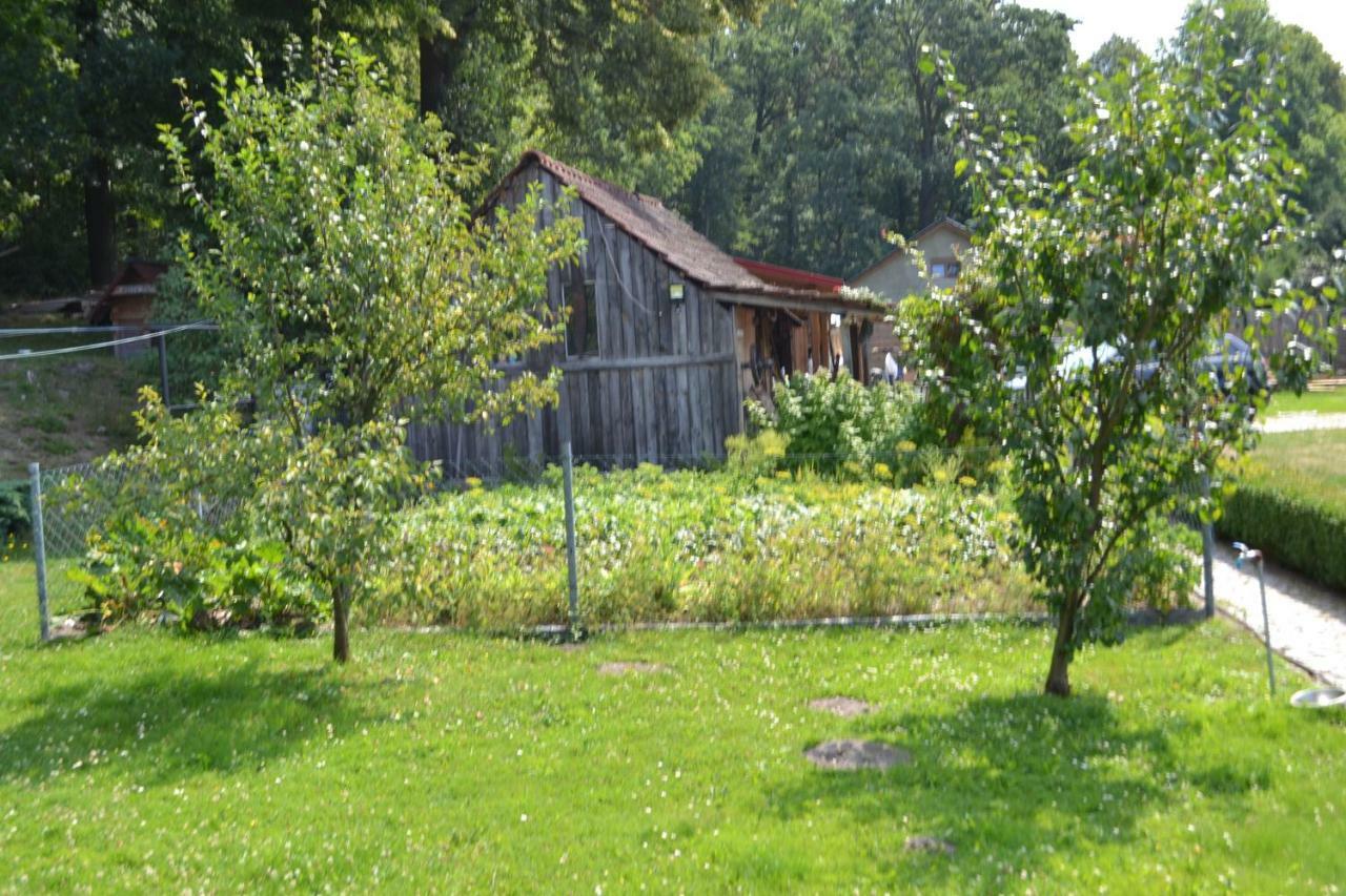Agroturystyka Burylowka Osiecznica Luaran gambar